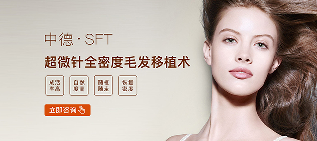 中德sft超微针